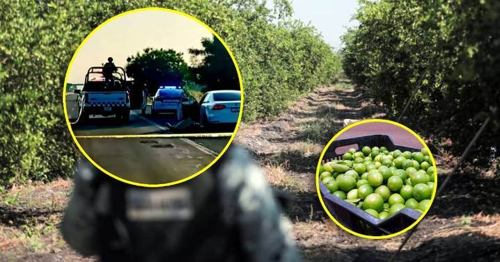 Asesinan al líder limonero de Michoacán; encontraron su cuerpo en su vehículo cerca de una carretera con impactos de bala