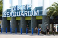 The cherished and controversial Miami Seaquarium closes its doors