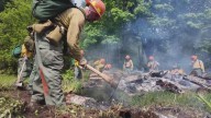 Washington DNR asking state to keep funding wildfire prevention in 2026 budget push