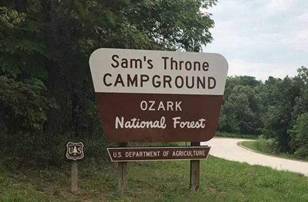 Bear suspected in Newton County, Arkansas, killing ruled out by DNA