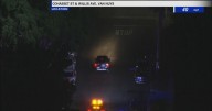 Los Angeles pursuit suspect arrested after crashing into parked car