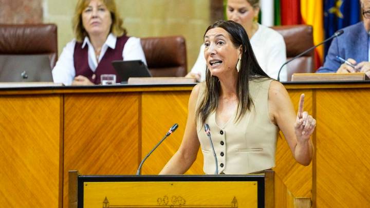 "Fallos" en el registro de violencia de género: la nueva denuncia andaluza que el Ministerio de Igualdad niega