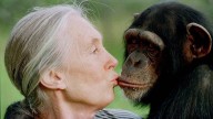 Jane Goodall: Renowned wildlife advocate, chimpanzee expert dies at 91