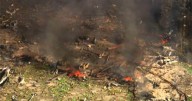 Tennessee company rocked by an explosion manufactures and researches explosives for the military