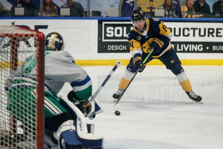 Admirals open ECHL season with OT triumph at Savannah