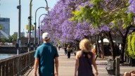 Sol y ascenso de temperaturas marcan la jornada; se afianza el ambiente primaveral en el centro del país
