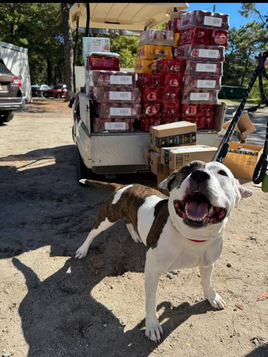 Community floods AHS Lacey with donations after urgent animal food plea
