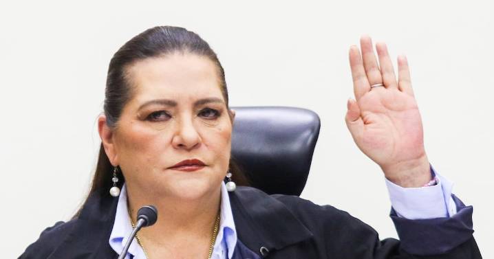 Guadalupe Taddei llama a debatir ‘el costo de la democracia’
