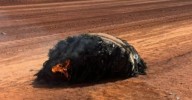 Suspected space junk crash lands on WA mine site