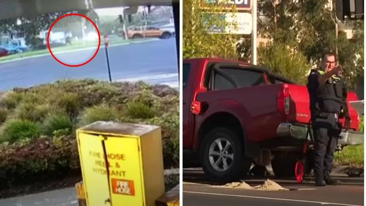 Police dog Devil bites fleeing suspect after Vermont South, Melbourne car ramming