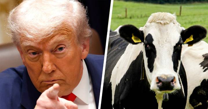 Ranchers protest Trump plan to import more beef from Argentina