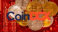 Coinbase invests in CoinDCX, valuing Indian crypto exchange at $2.45 billion