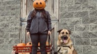 Have a spooky, pet-safe Halloween with these tips