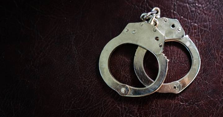 Los Angeles police arrest two women who posed as maids while they allegedly stole from homes