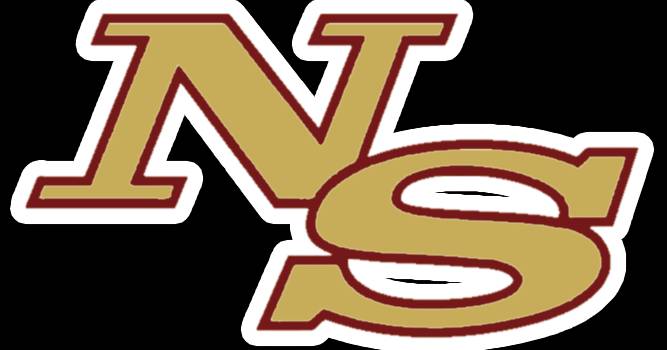 Ninety Six suffers late loss to Pelion