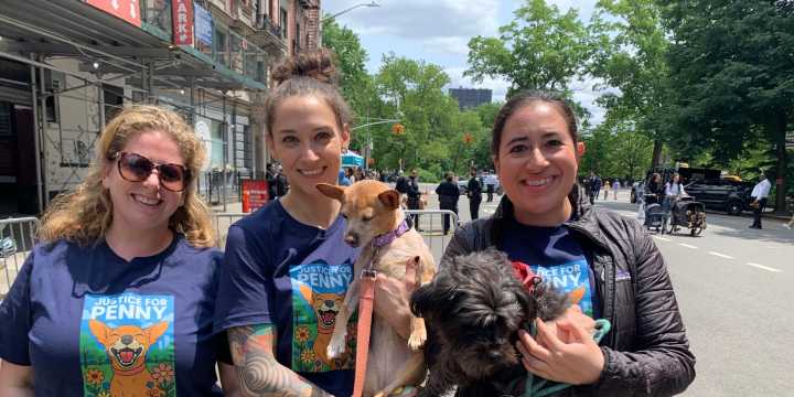 Judge Rules in Favor of Owners of Attacked UWS Dogs in Joe Columbus Case