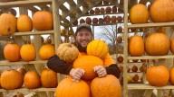 Readers say these Monroe County places have the best carving pumpkins