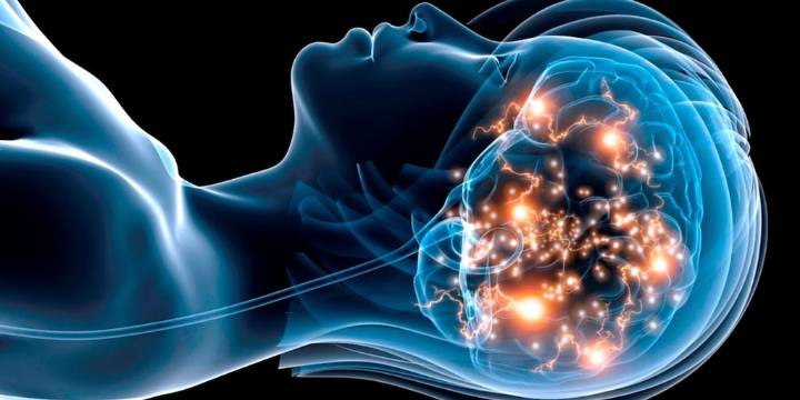 ¿El cerebro se “despierta” al soñar? Un nuevo hallazgo reveló que la mente nunca descansa