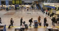 Vilnius Airport halts flights over balloons in airspace