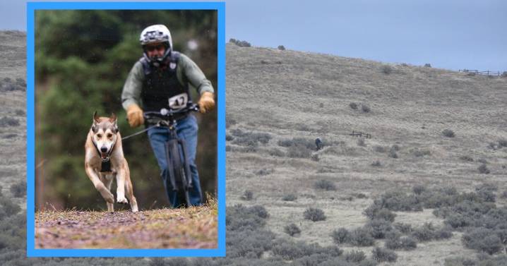 Hometown musher and dog bound for Dryland World Championships
