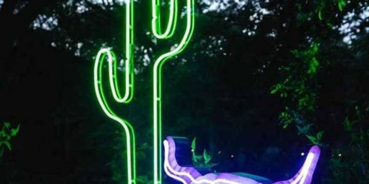 Surreal neon art festival lights up Willie Nelson's Luck Ranch