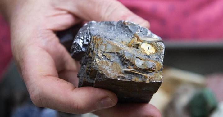 Joplin native bequeaths mineral collection to local mineral museum