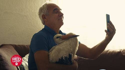 National Geographic unveils trailer for "The Tale of Silyan," an award-winning documentary on a farmer and his stork