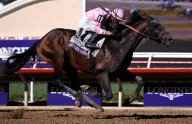 This Breeders’ Cup trend is not a break for bettors at Del Mar, beyond
