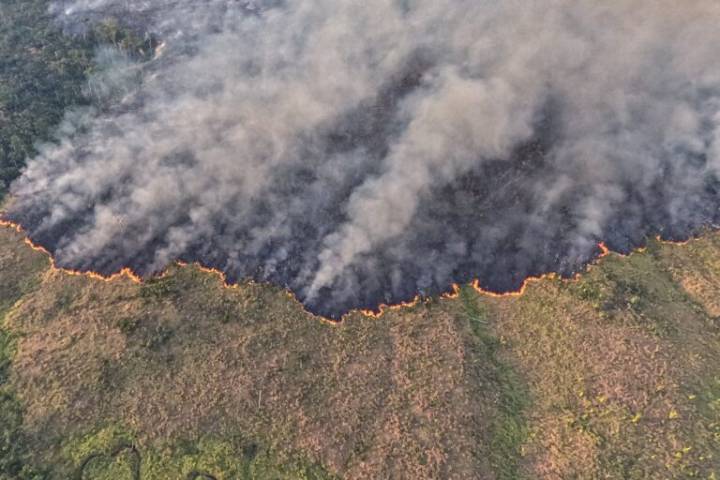 Global goal of zero deforestation by 2030 is severely off track