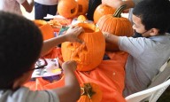 FOTOS: Lo que encontrarás en el Pumpkin Patch en Canóvanas