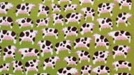 New Reddit optical Illusion: Only eagle-eyed users can spot the 'dangerous' cow