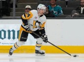 Veteran defenceman Grzelcyk agrees to deal with Blackhawks