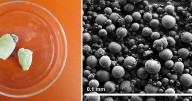 Crystals ‘peed’ by snakes could help treat kidney stones and gout