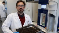 Cómo aprovechar la quitina de los insectos para hacer biofilms