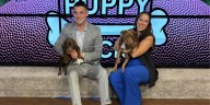 Week 8 Puppy Picks