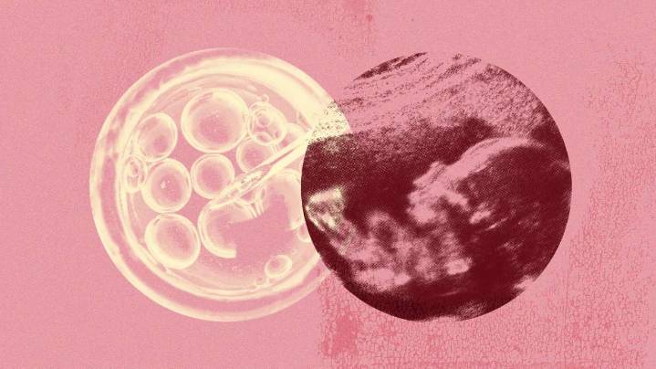 Utah sees significant shifts in marriage, fertility trends, report says