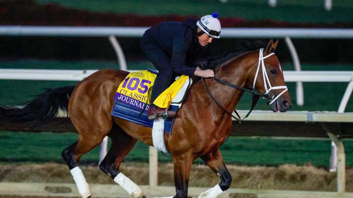 Why your horse can — and can't — win 2025 Breeders' Cup Classic at Del Mar