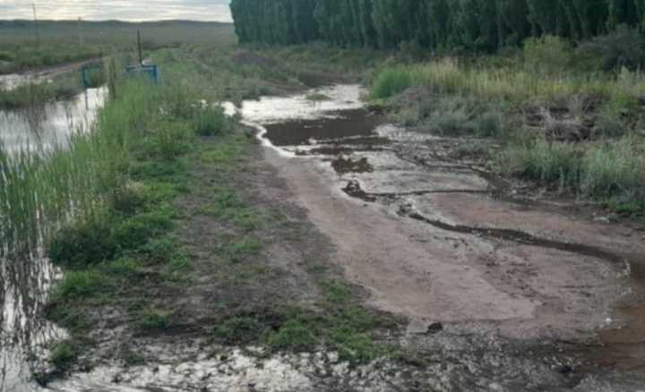 25 de Mayo: Cámara de Productores denuncia ineficiencia del sistema de riego