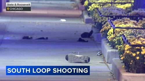 Chicago shooting: 1 critically wounded on State Street in South Loop, police say