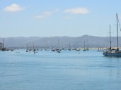 Temporada de ballenas en California: el mejor pueblo para verlas