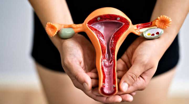 Estos superalimentos ayudan a prevenir miomas, endometriosis y ovarios poliquísticos