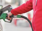 India eyes more than 20% ethanol in petrol: Govt official