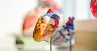 Cardiac arrest prevention screenings Oct. 20
