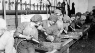 Five ways women have historically powered the economy