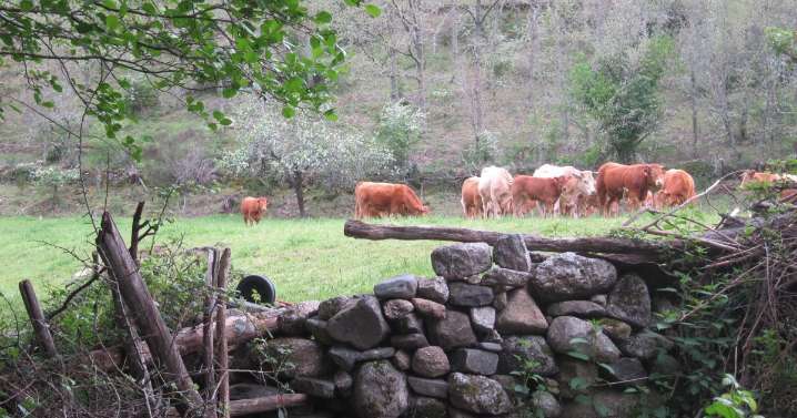 Adiós a los acuerdos verbales en el campo: los tratos que no impliquen pagos también requerirán un contrato