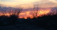 Jueves soleado para Mexicali; mañana se esperan fuertes vientos y tolvaneras