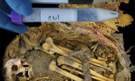 El microbioma intestinal de un joven del México precolombino desvela cambios evolutivos
