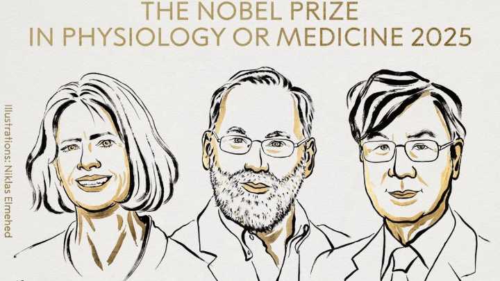 Premio Nobel de Medicina para tres investigadores del campo de las enfermedades autoinmunes
