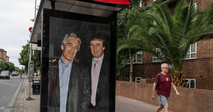 Case Dixon: Epstein files – fact or fiction?