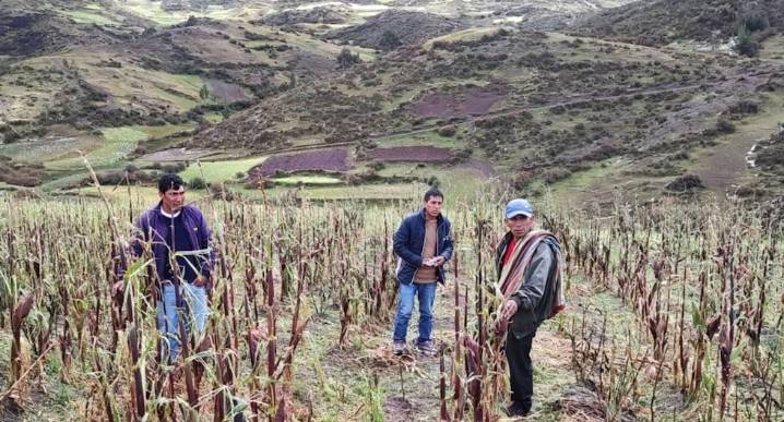 Inteligencia Artificial maximiza el rendimiento de cada metro cuadrado destinado al agro